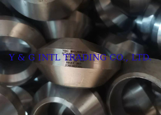 Fittings sambungan flange stainless steel threaded dan flange tabung, termasuk flange LF